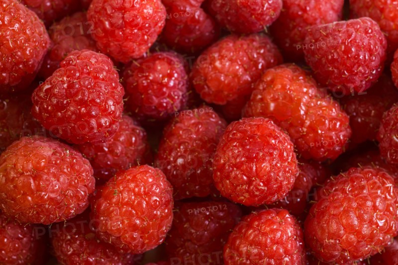 Abundance of raspberries