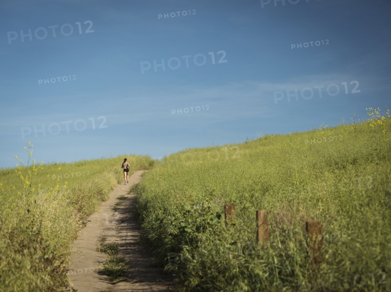 Woman jogging on path through field