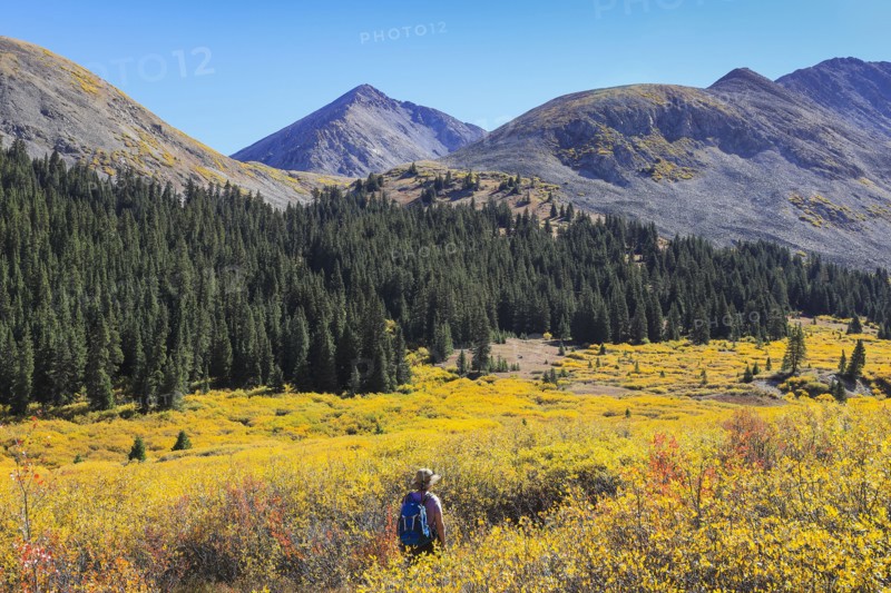 Woman hiking during autumn at Mayflower Gulch, Colorado