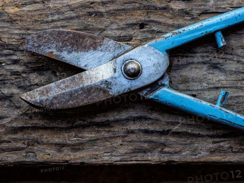 Rusted shears