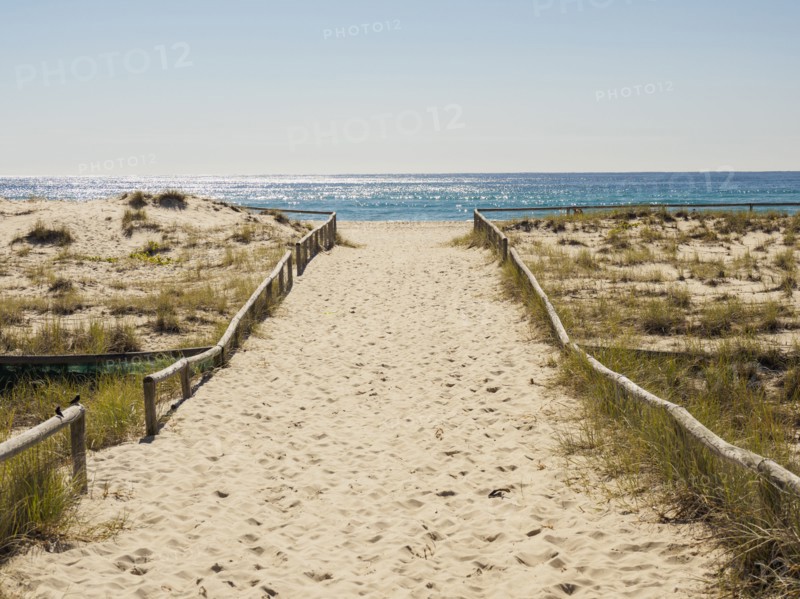 Beach walkway in Coolangata, Australia