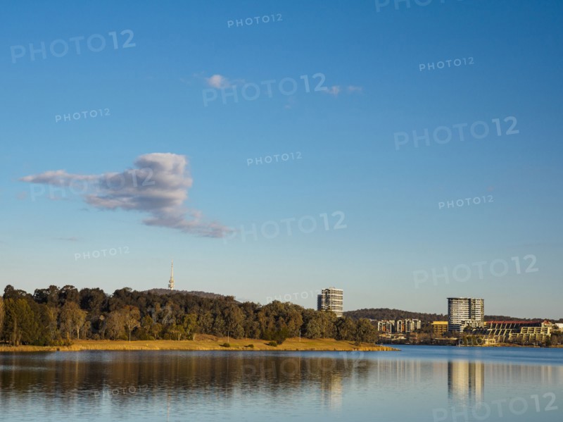 Forest by lake in Ginninderra, Canberra, Australia