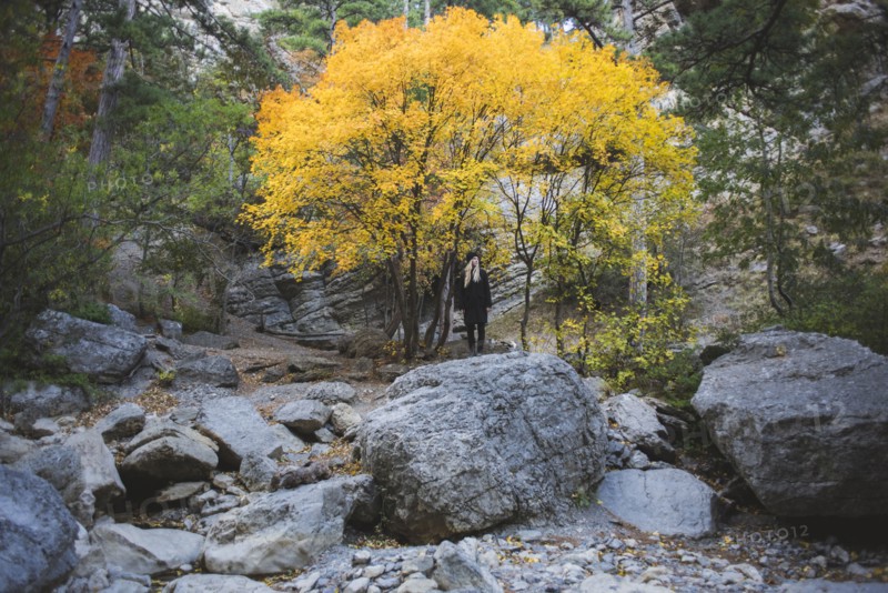 young woman on boulder in autumn forest