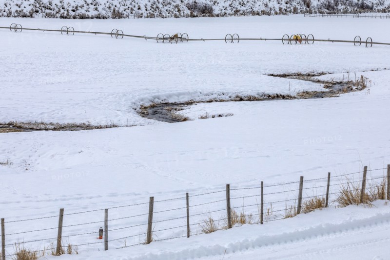 Fence on farm during winter