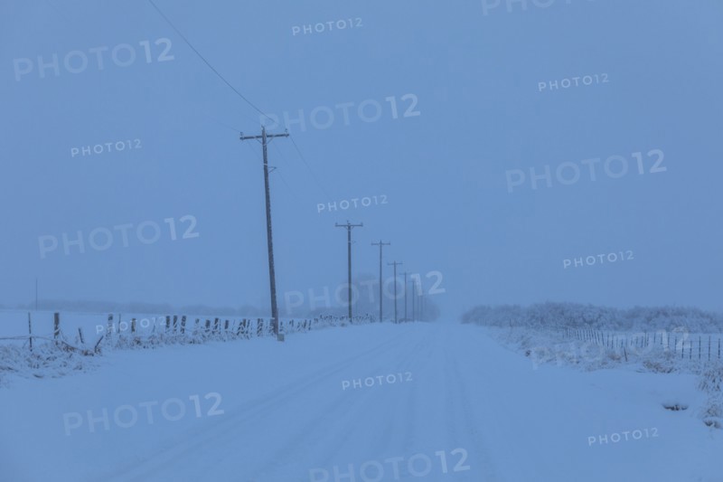 Power lines by snow on highway