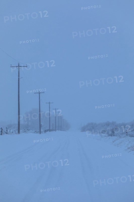 Power lines by snow on highway