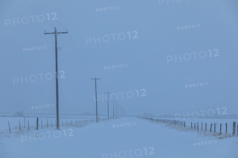 Power lines by snow on highway