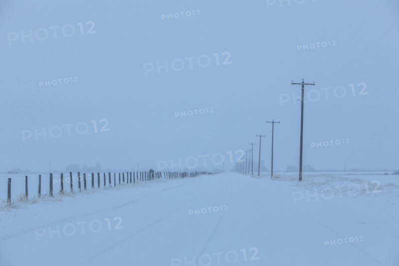 Power lines by snow on highway