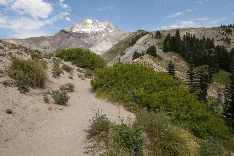 Sand dunes and mountain in Mount Hood National Forest, yregon