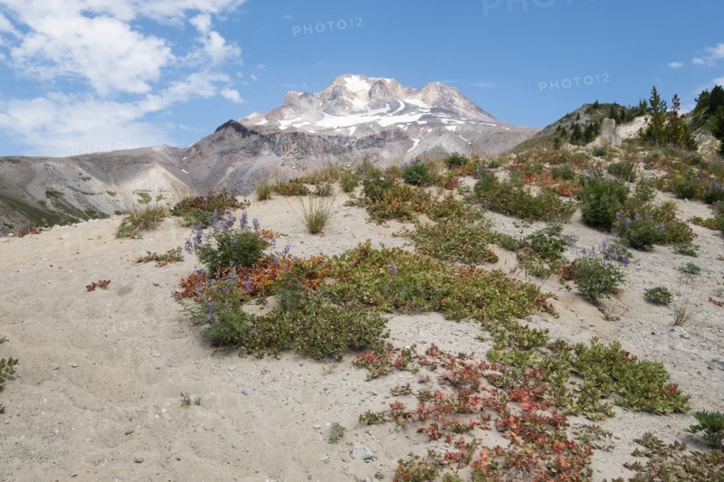 Sand dunes and mountain in Mount Hood National Forest, yregon