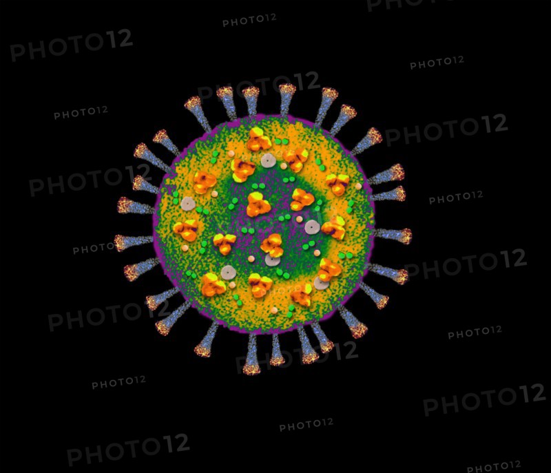 Digitally generated image of Coronavirus