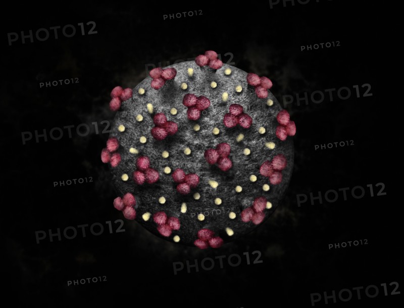 Digitally generated image of Coronavirus
