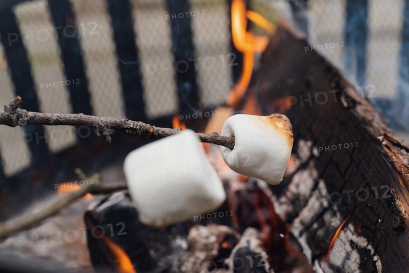 Roasting marshmallows over fire