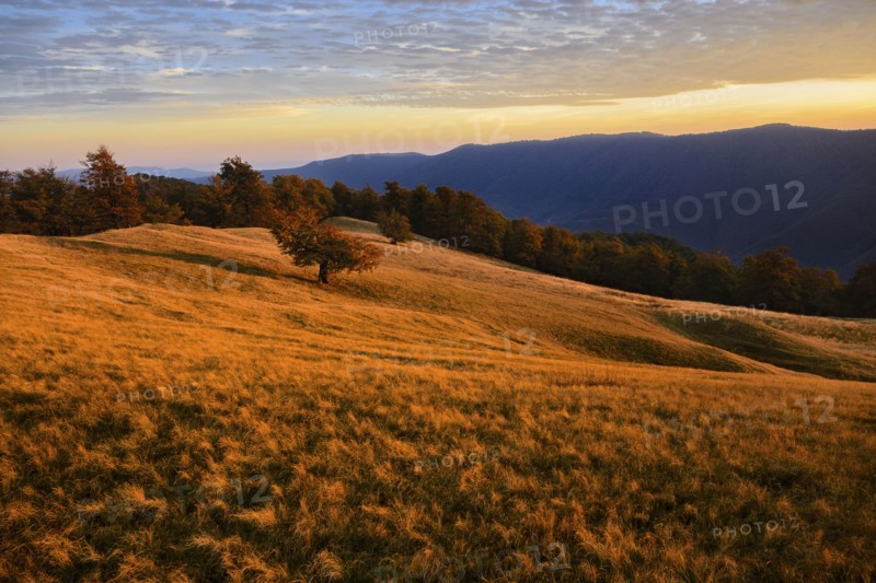 Ukraine, Zakarpattia region, Carpathians, Borzhava, Hillside mountain Munchel, Autumn landscape with mountains behind in evening light