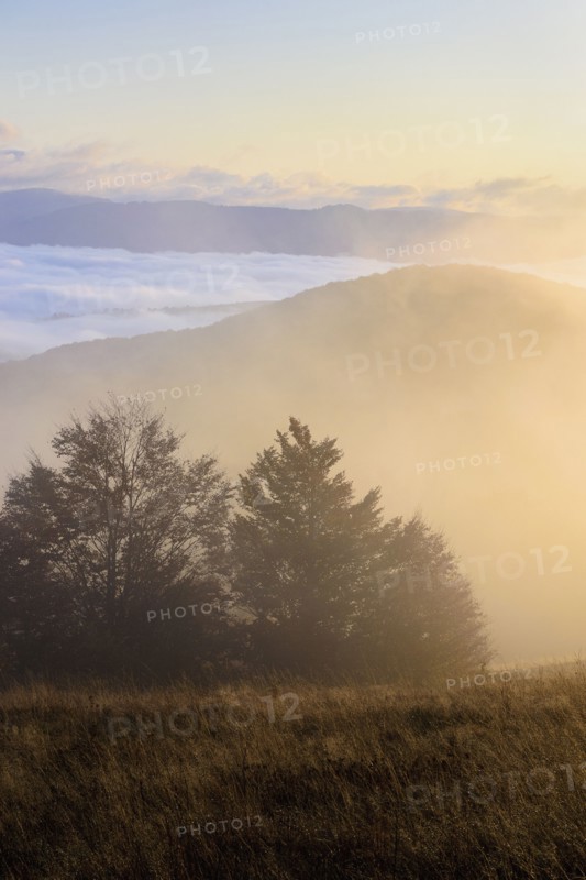 Ukraine, Zakarpattia region, Carpathians, Borzhava, Pryslip Pass, Mountain landscape in morning fog