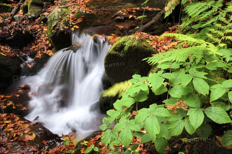 Ukraine, Zakarpattia region, Carpathians, Verkhniy Shypot waterfall, Blurred waterfall in autumn scenery