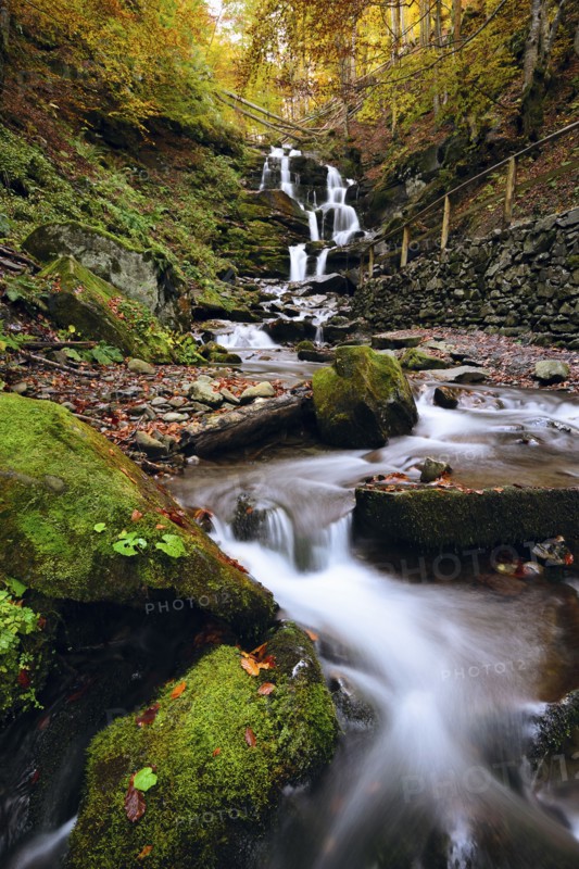Ukraine, Zakarpattia region, Carpathians, Verkhniy Shypot waterfall, Blurred waterfall in autumn woods