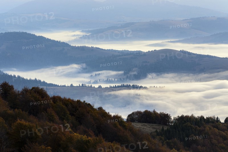 Ukraine, Zakarpattia region, Carpathians, Borzhava, Fog over mountain landscape