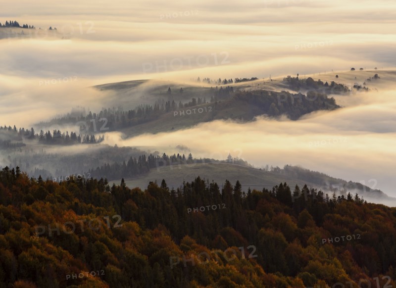 Ukraine, Zakarpattia region, Carpathians, Borzhava, Morning fog over mountain landscape
