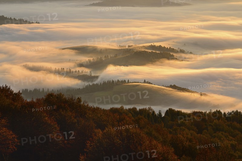 Ukraine, Zakarpattia region, Carpathians, Borzhava, Morning fog over mountain landscape
