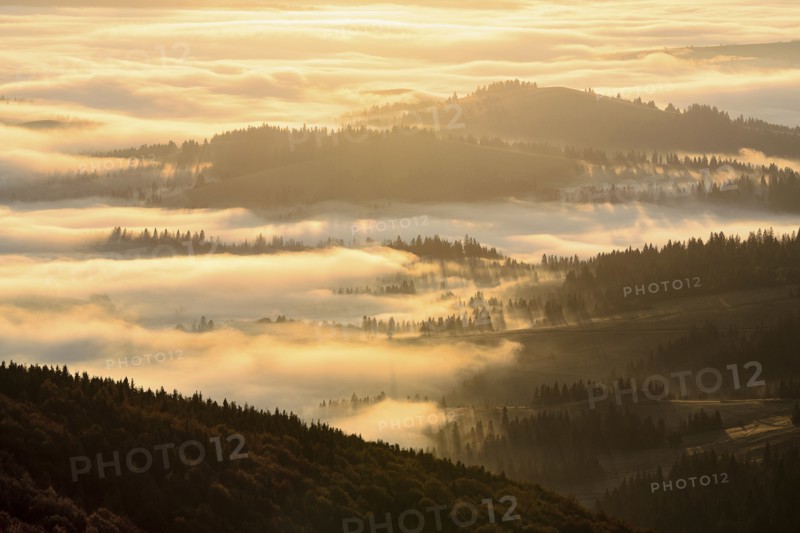 Ukraine, Zakarpattia region, Carpathians, Borzhava, Mountain landscape in fog illuminated by morning sunlight