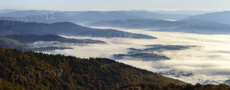 Ukraine, Zakarpattia region, Carpathians, Borzhava, Foggy hills of Carpathian Mountains at sunrise
