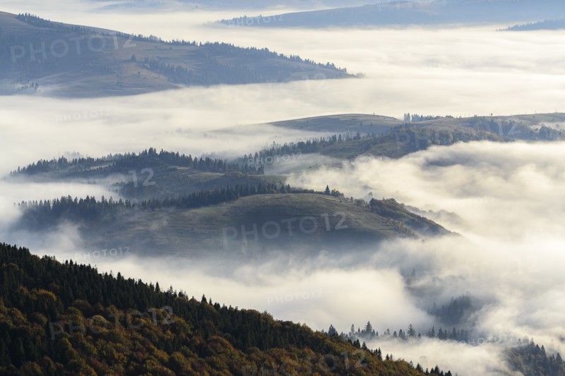 Ukraine, Zakarpattia region, Carpathians, Borzhava, Foggy hills of Carpathian Mountains at sunrise
