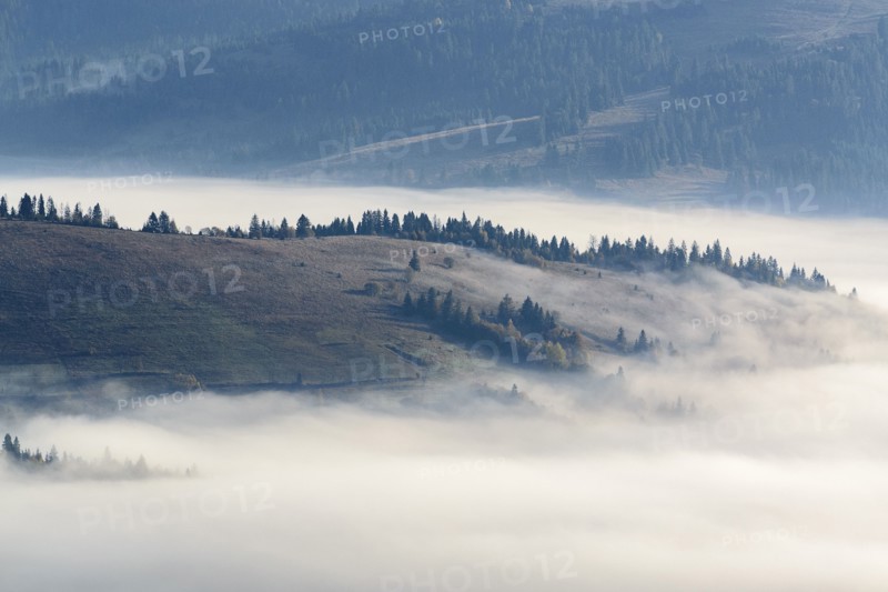 Ukraine, Zakarpattia region, Carpathians, Borzhava, Foggy hills of Carpathian Mountains at sunrise