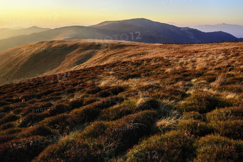 Ukraine, Zakarpattia region, Carpathians, Borzhava, Carpathian Mountains at sunset
