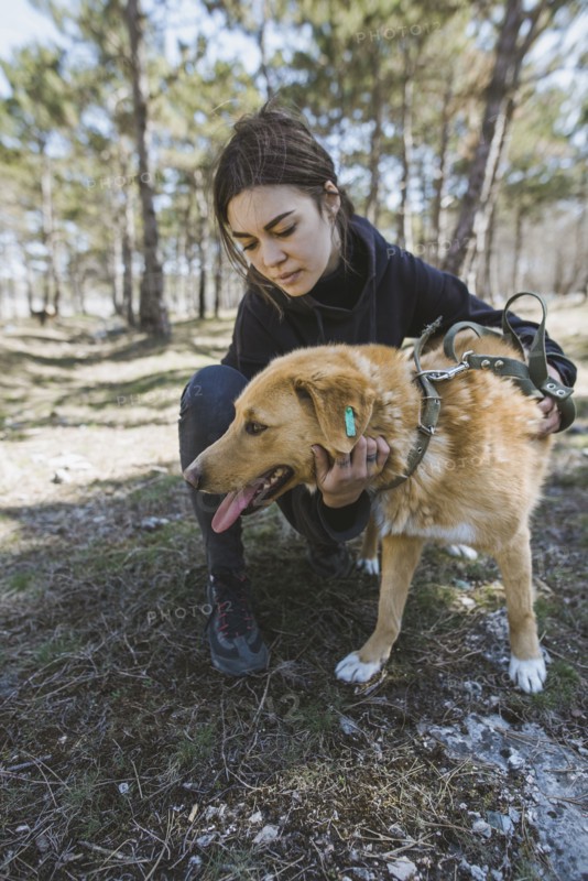 Young woman petting dog from animal shelter while walking in forest