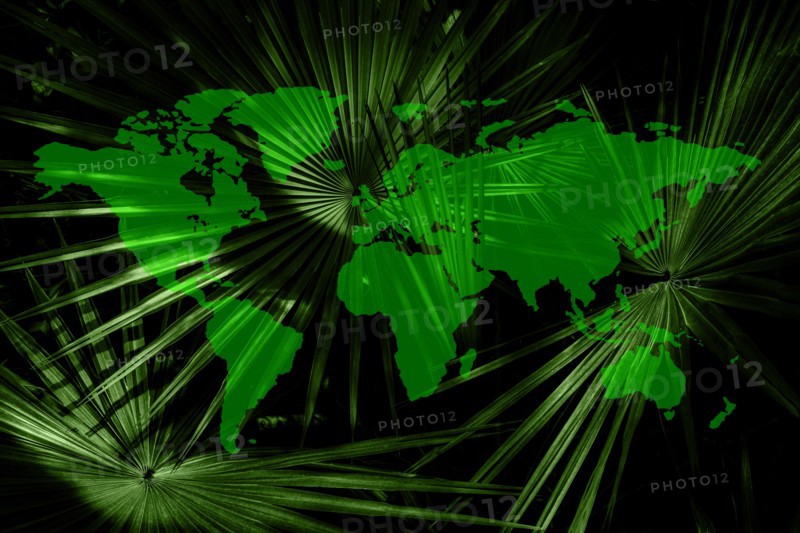 Double exposure of fronds and world map