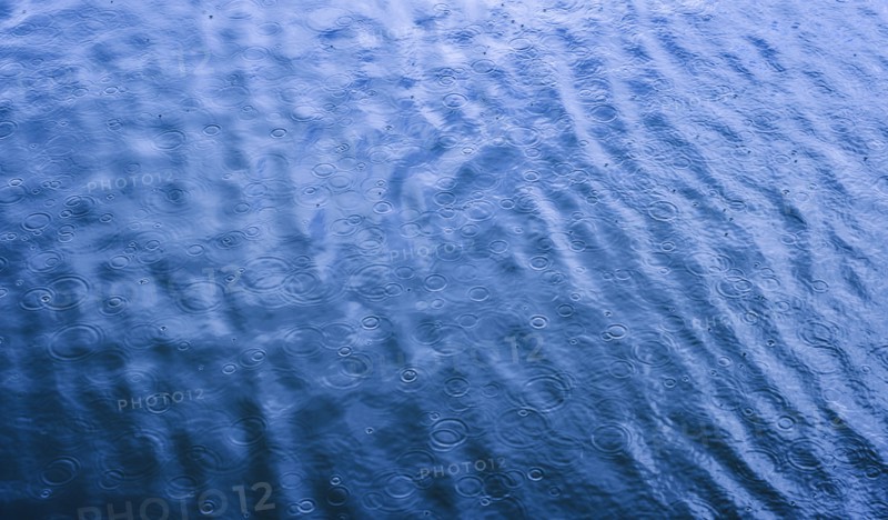Ripples from rain drops in sea