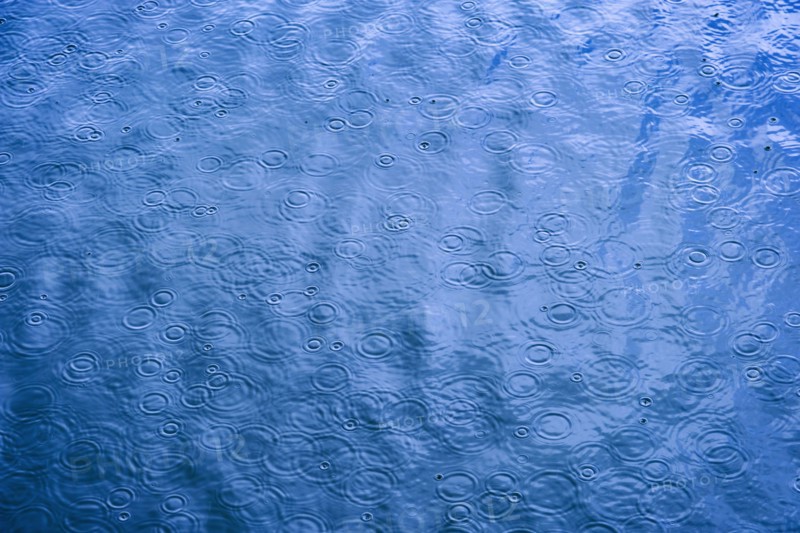Ripples from rain drops in sea