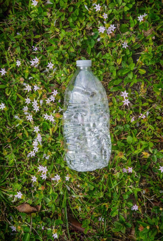 Plastic bottle on grass