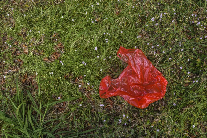 Red plastic bag on grass