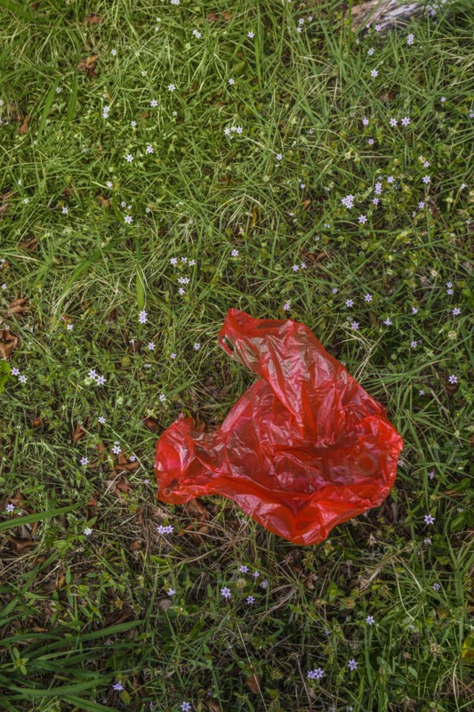 Red plastic bag on grass
