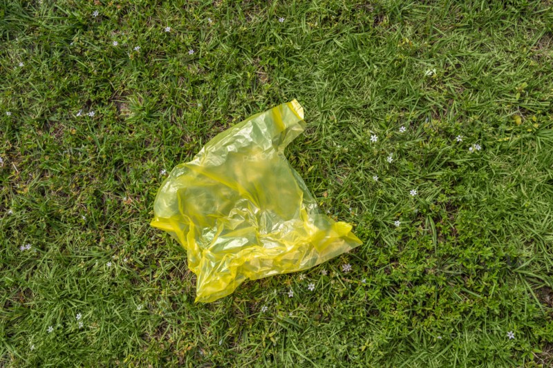 Yellow plastic bag on grass
