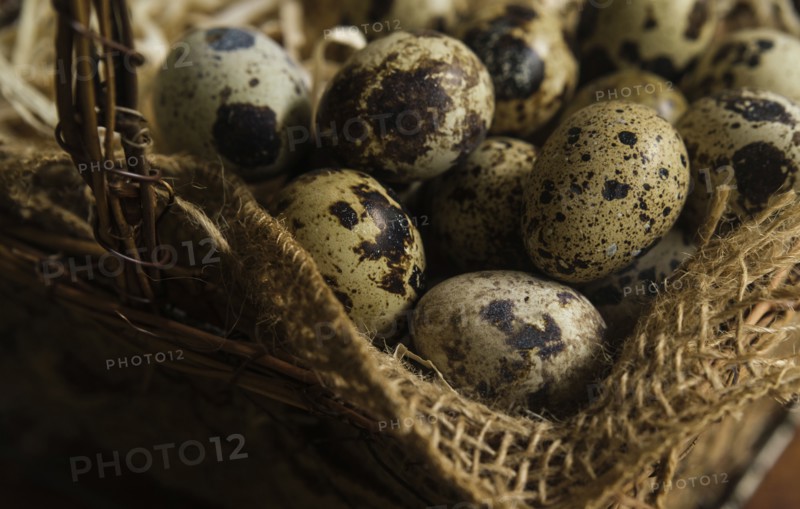 Bird eggs in basket