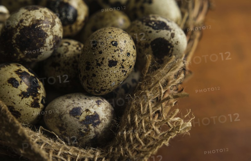 Bird eggs in basket
