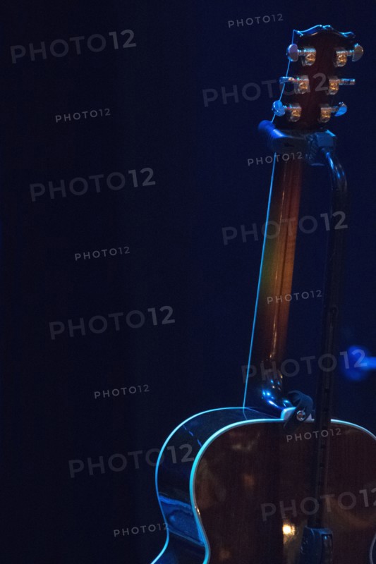 Guitar in guitar stand