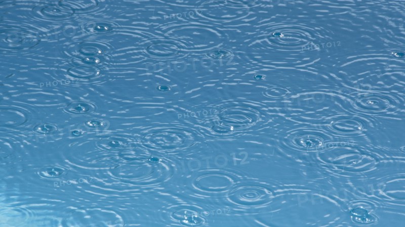 Ripples from rain drops in pond