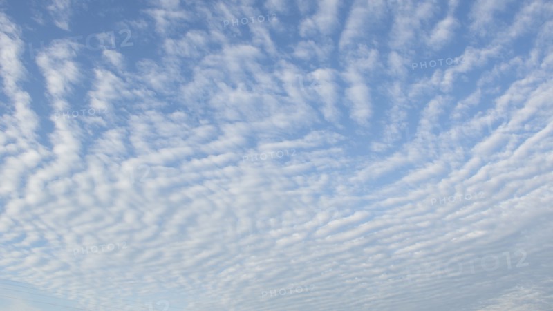 Overcast sky