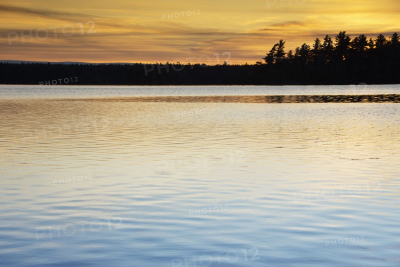 Silhouette of trees and lake at sunset