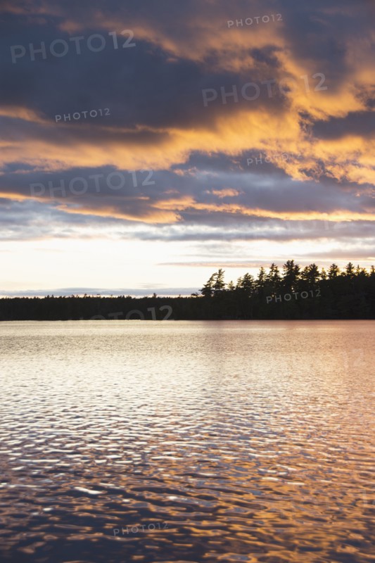 Silhouette of trees and lake at sunset