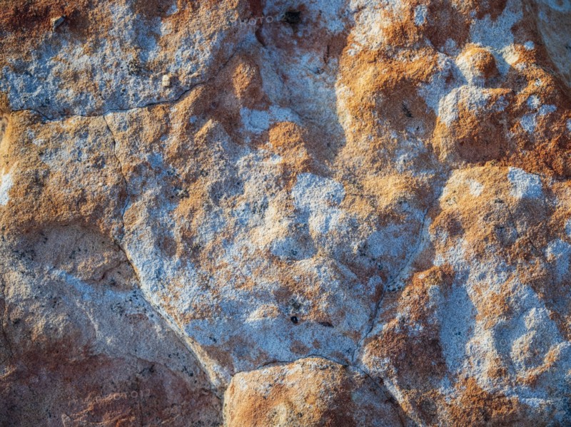 Lichen on rock