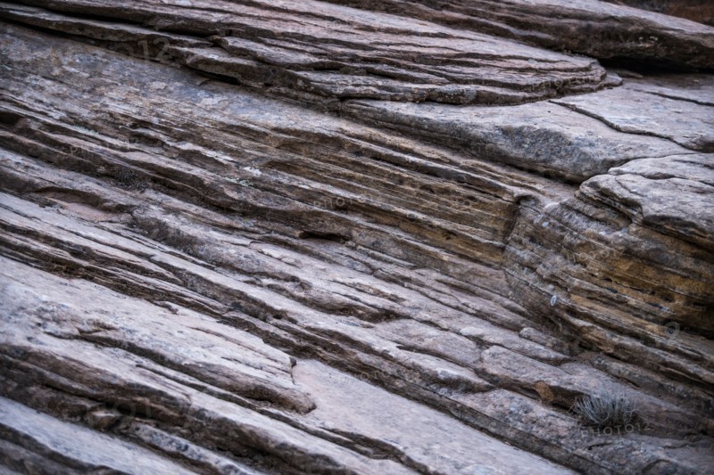 Sandstone at Zion National Park in Utah, USA