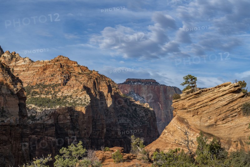 Canyon at Zion National Park in Utah, USA