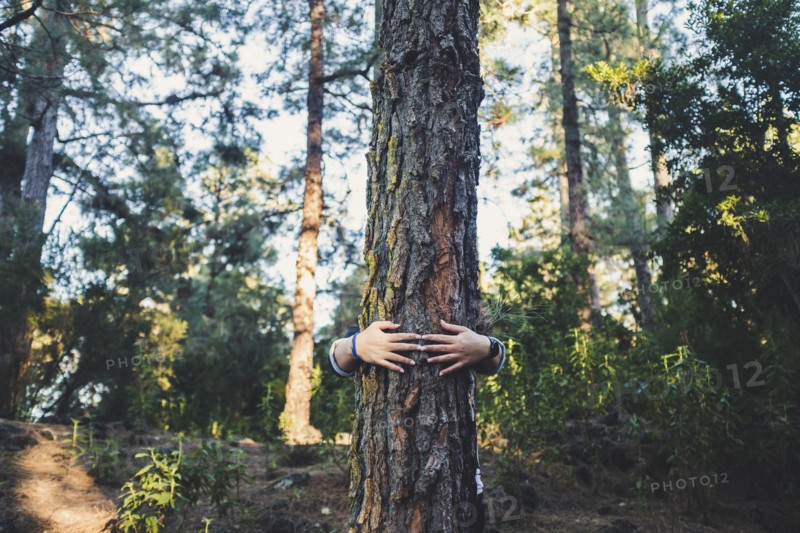 Man embracing tree in forest