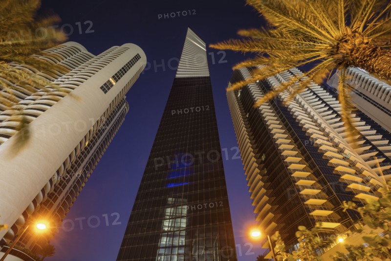 USA, Florida, Miami Beach, Low angle view of skyscrapers and palm trees
