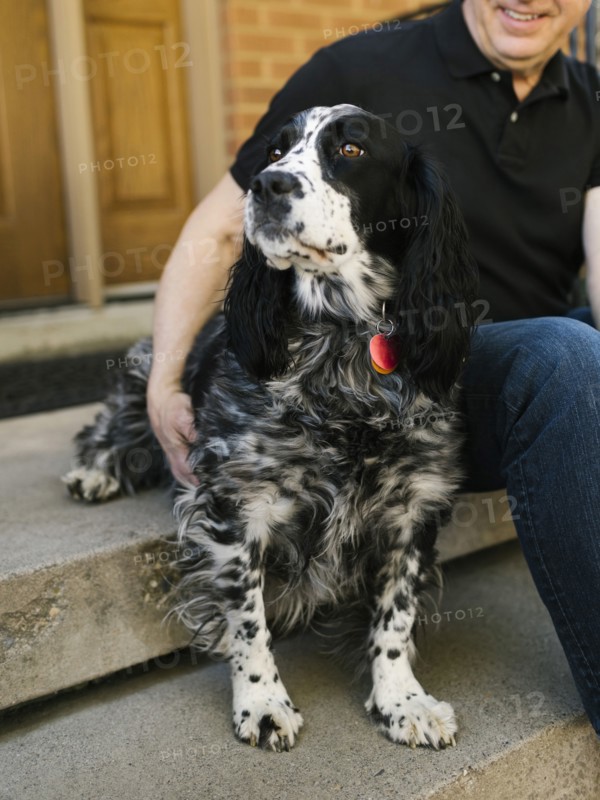 English springer spaniel and owner sitting on steps